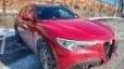 ALFA ROMEO STELVIO 2022 ZASPAKAN2N7D24123 image